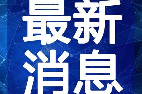 迪拜爆料新闻视频最新,揭秘神秘事件背后的真相  第1张